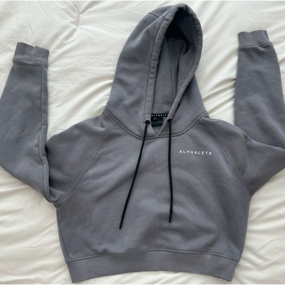 Alphalete Cropped Hoodie - size Small